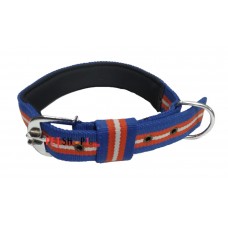 Super Dog Multicolor Padded Collar 1.5 Inch